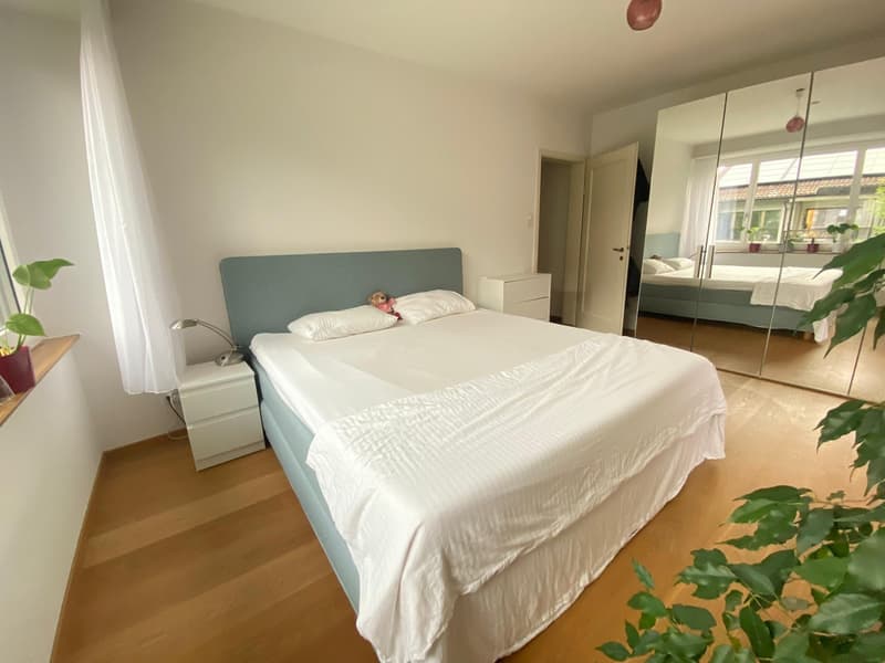 Bright Apartment in Zurich Wollishofen, as of mid-AUG (6)