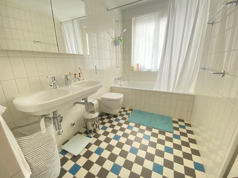 Bright Apartment in Zurich Wollishofen, as of mid-AUG (7)