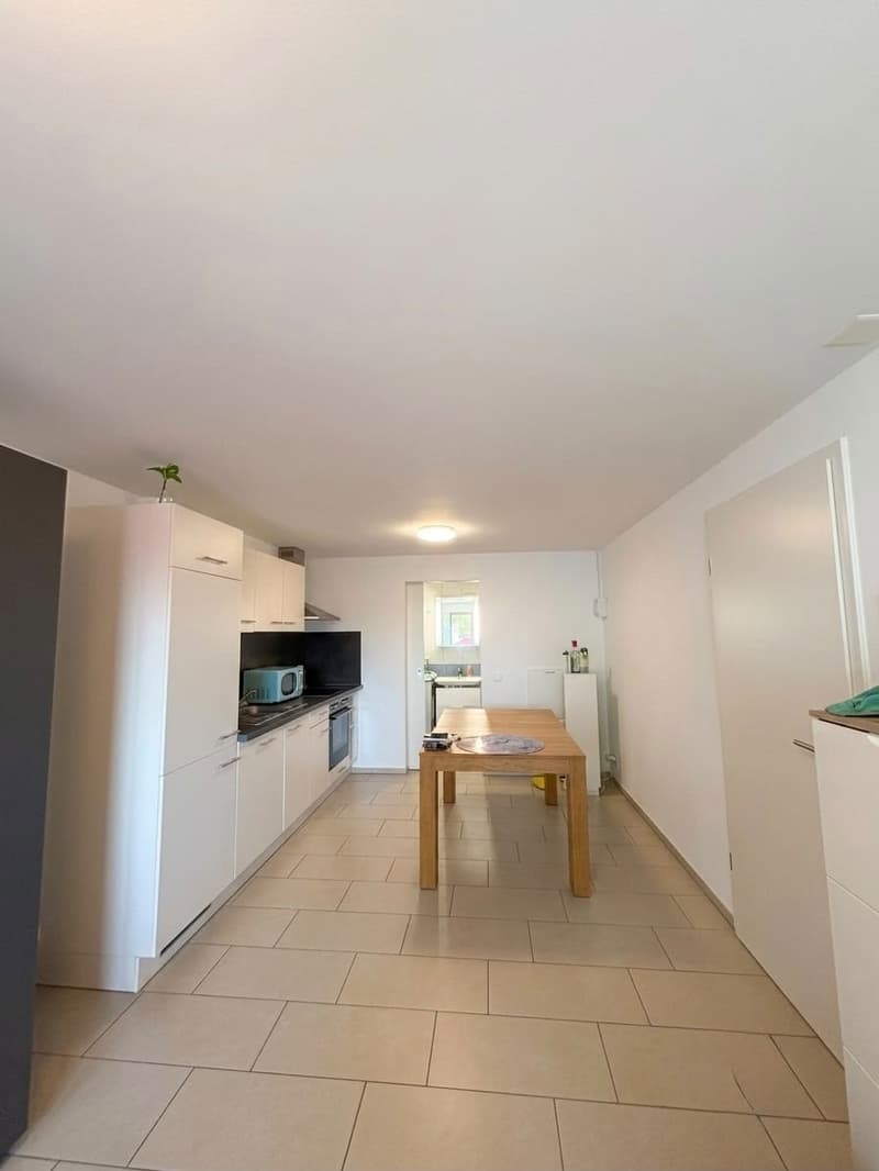 Location Appartement Studio 1185 Mont-sur-rolle (2)