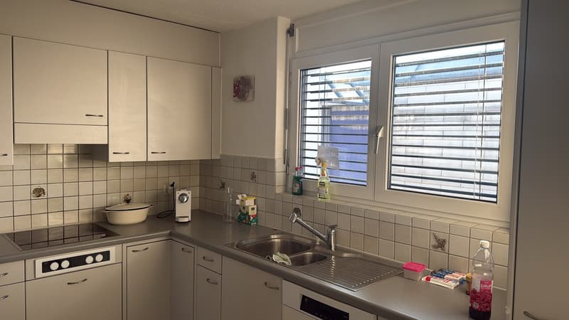 5.5 Zimmer, 140qm Dachterassenwohnung (3)