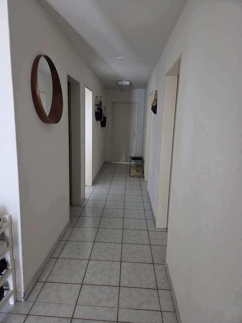 5.5 Zimmer, 140qm Dachterassenwohnung (7)