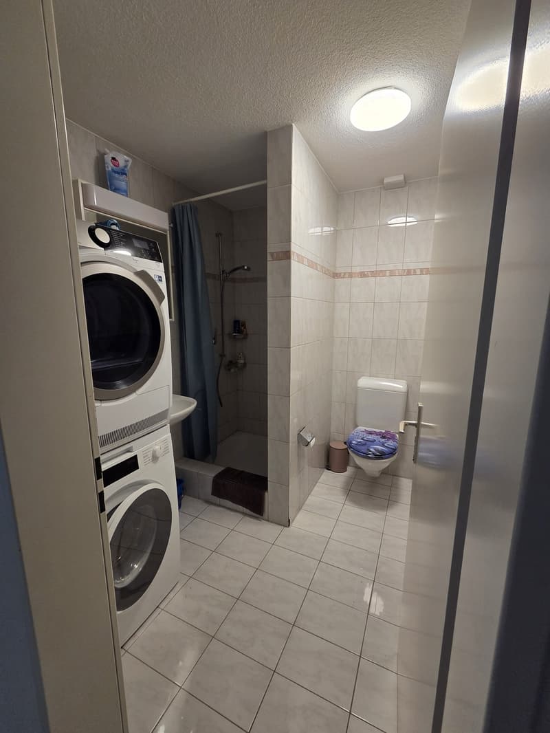 5.5 Zimmer, 140qm Dachterassenwohnung (13)