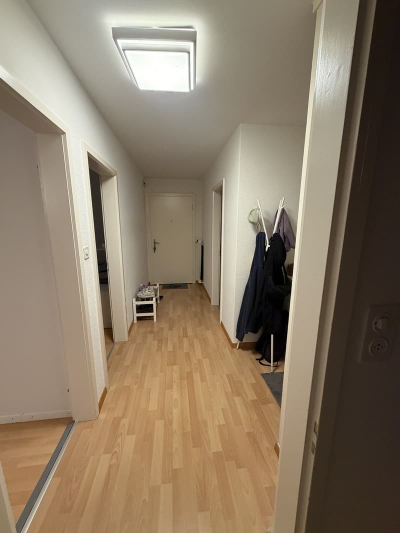 3-Zimmer-Wohnung in Dübendorf (6)