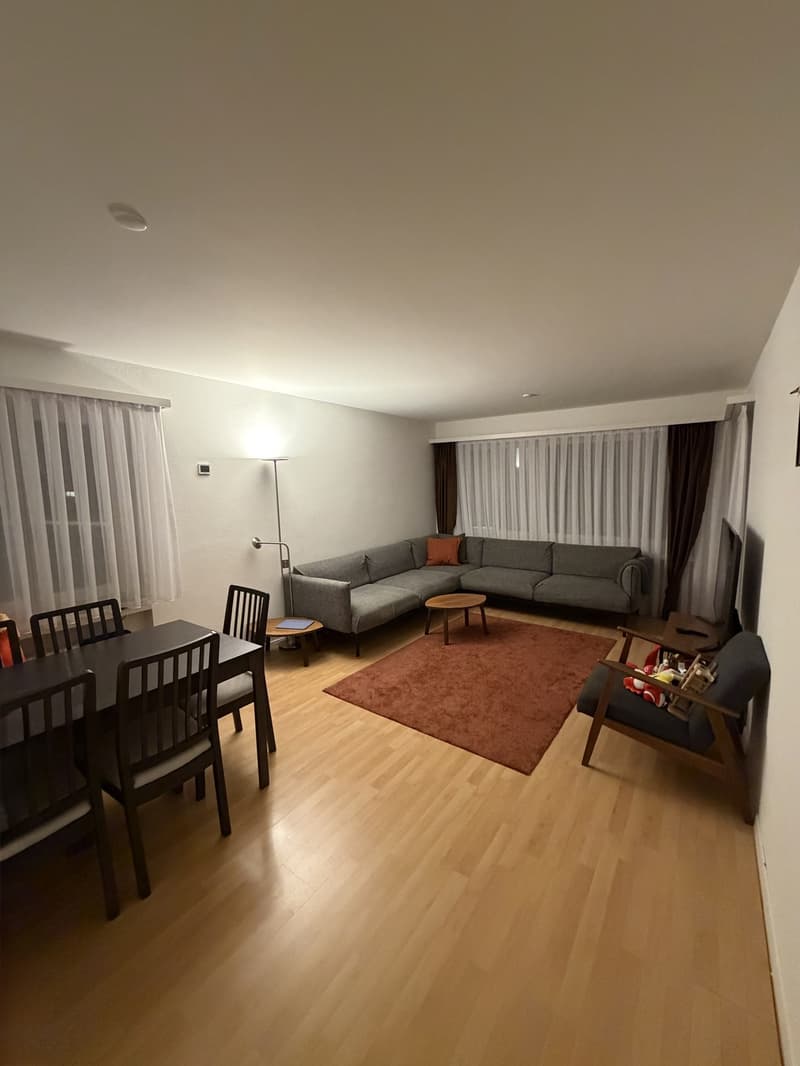 3-Zimmer-Wohnung in Dübendorf (1)