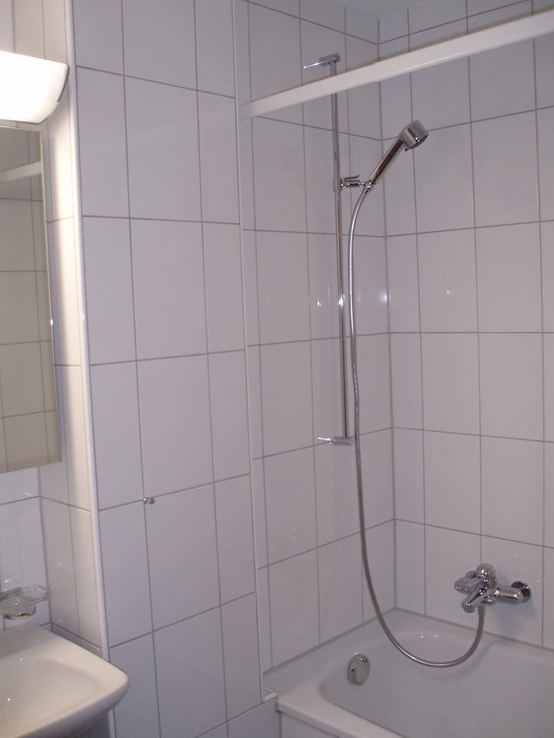 Near Idaplatz: Central, beautiful 4-room apartment with living kitchen from 1.9.26 (9)