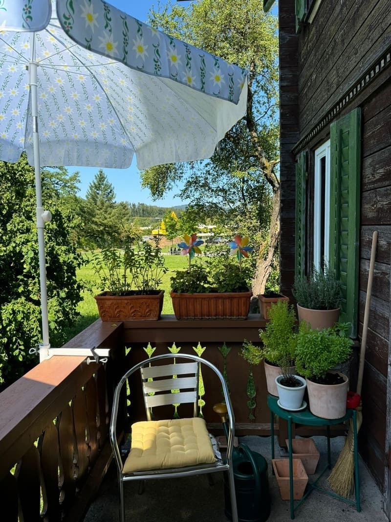 Geräumiges Zimmer in riesigem Haus und grossem Garten :) (5)