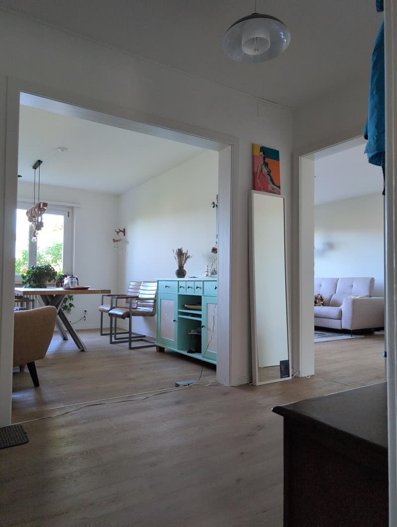 Zimmer in 2er WG im lauschigen Höngg nahe Limmat (7)