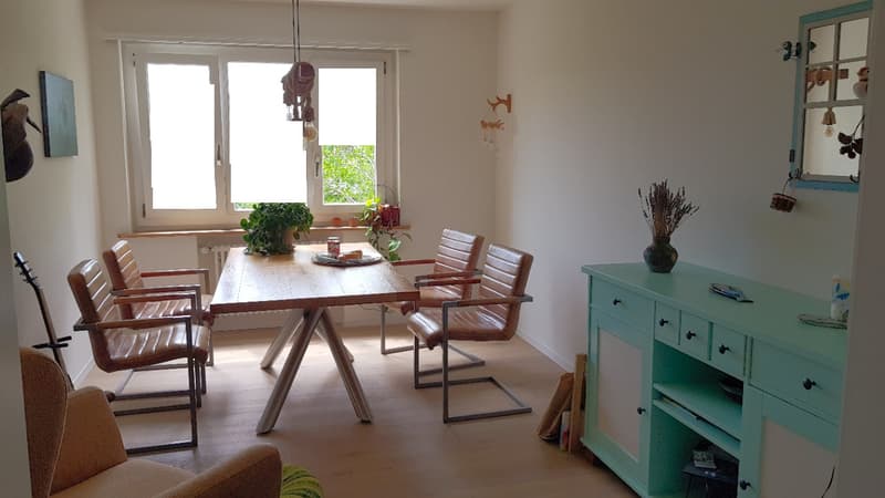 Zimmer in 2er WG im lauschigen Höngg nahe Limmat (3)