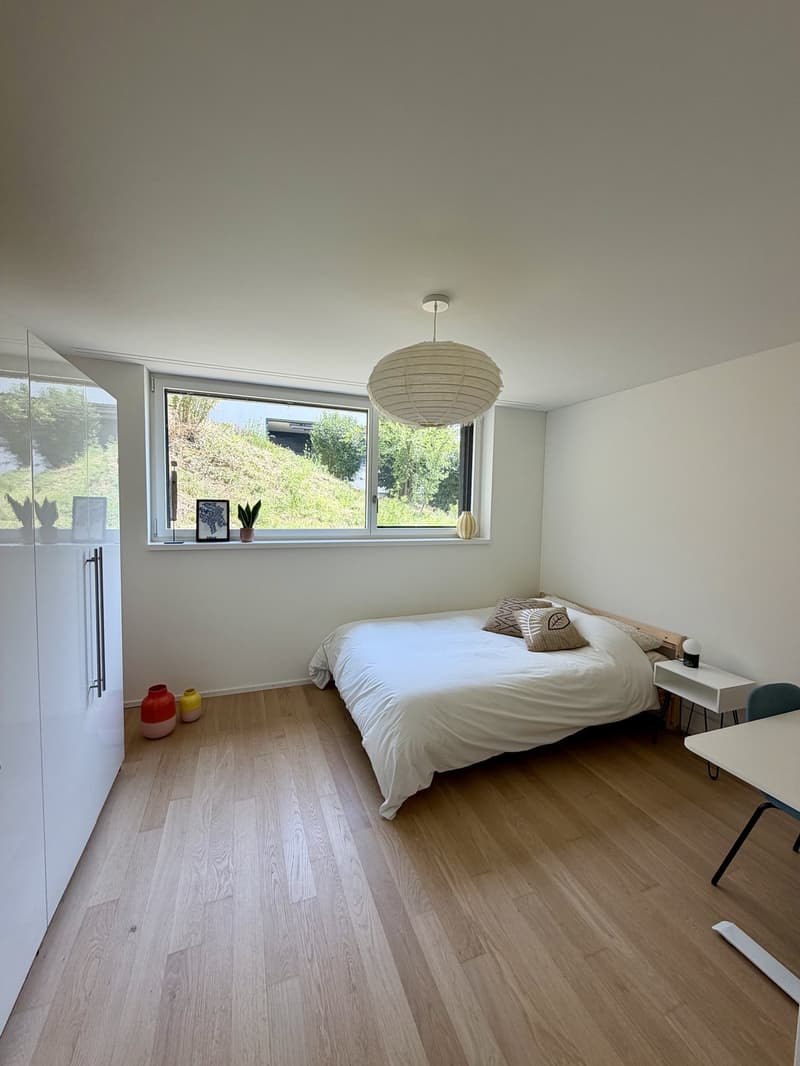 Furnished room in spacious Zurich apartment (SeptDec) (1)