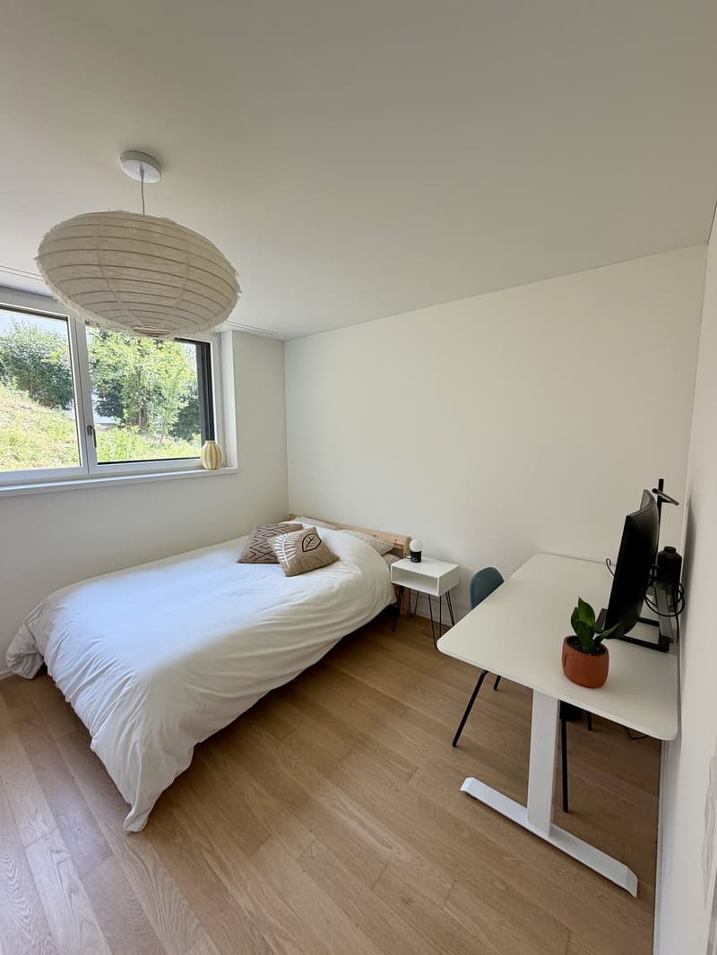 Furnished room in spacious Zurich apartment (SeptDec) (2)
