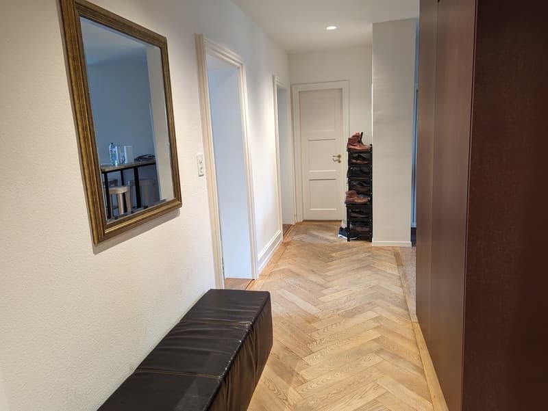 Chambre en colocation, 8002 Zurich (3)
