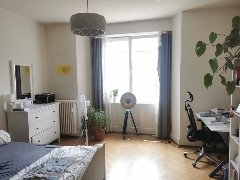 Chambre en colocation, 8002 Zurich (1)