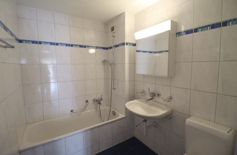 4.5 Zimmerwohnung (8)