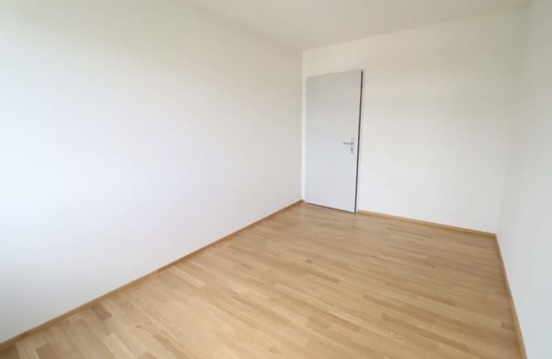 4.5 Zimmerwohnung (6)