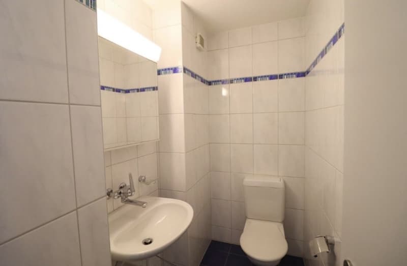 4.5 Zimmerwohnung (9)