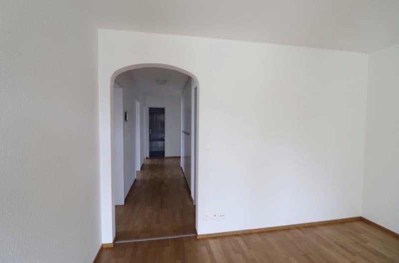 4.5 Zimmerwohnung (3)