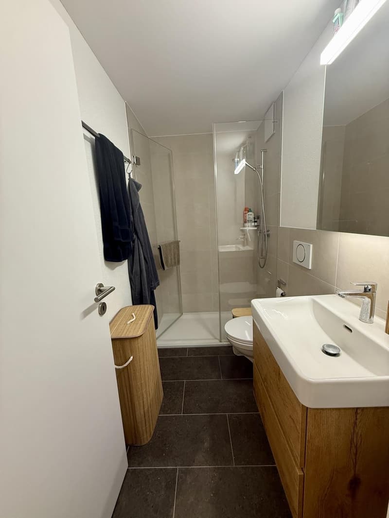 Appartement moderne de 1,5 pièces avec balcon à Zug (3)