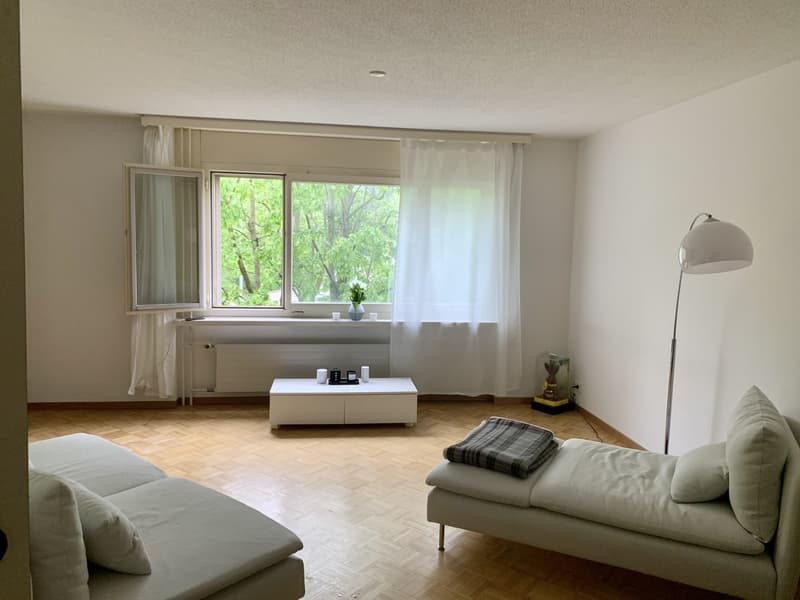 Appartement à louer temporaire jusqu'en octobre 2026 (8)