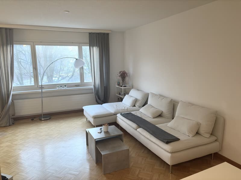 Appartement à louer temporaire jusqu'en octobre 2026 (1)