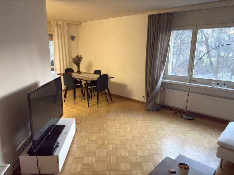 Appartement à louer temporaire jusqu'en octobre 2026 (3)