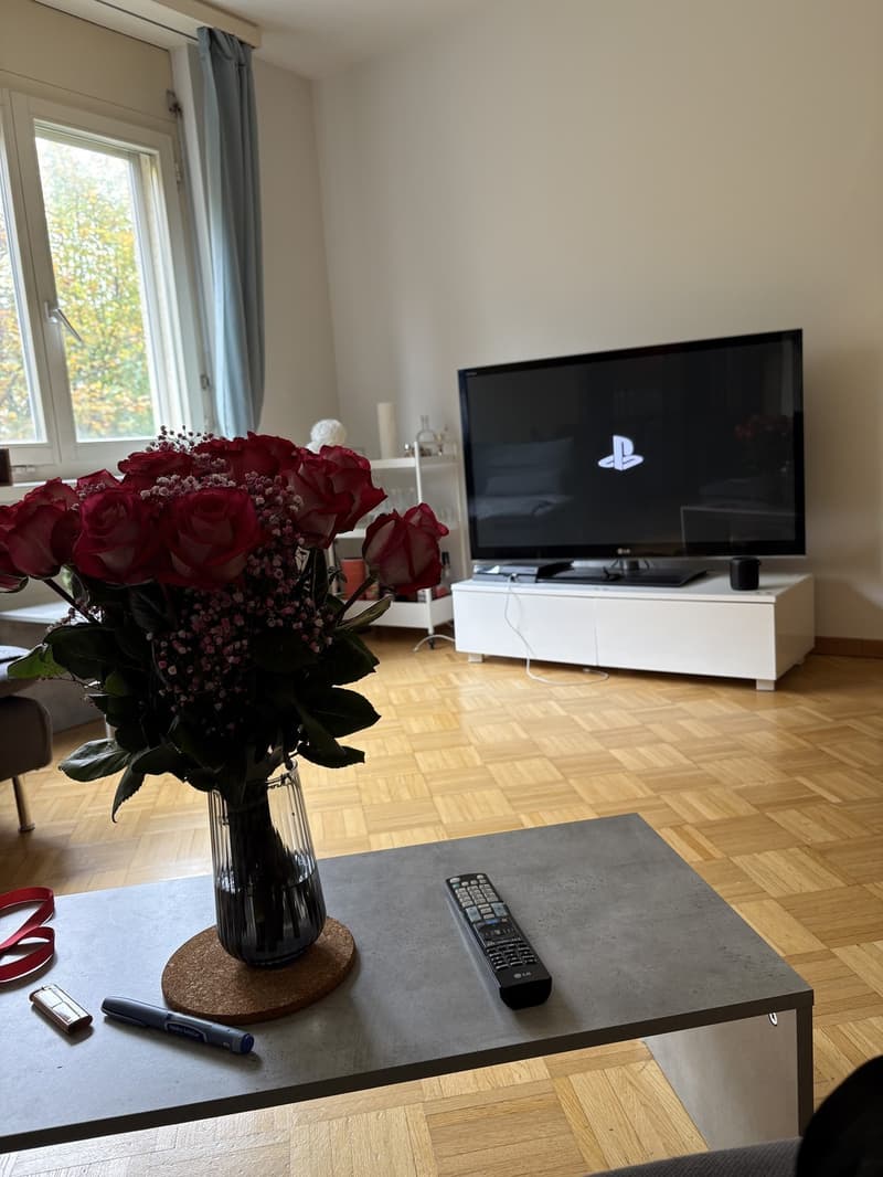 Appartement à louer temporaire jusqu'en octobre 2026 (9)