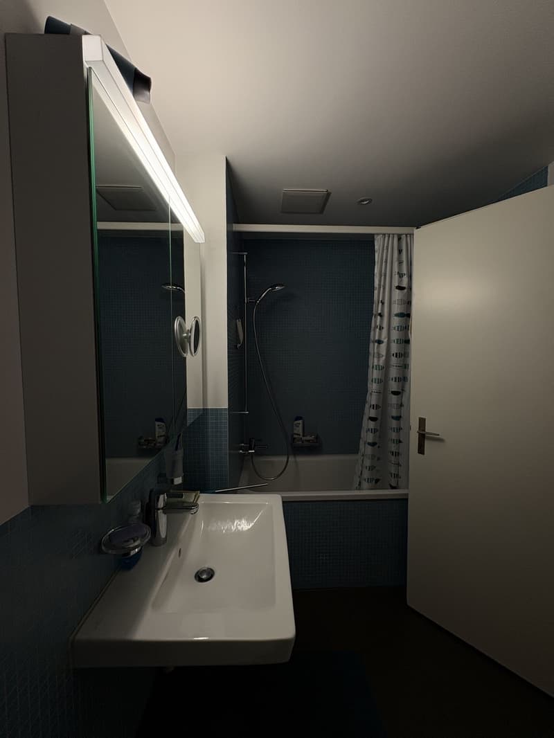 Zimmer in einer WG / Room in a shared flat (4)