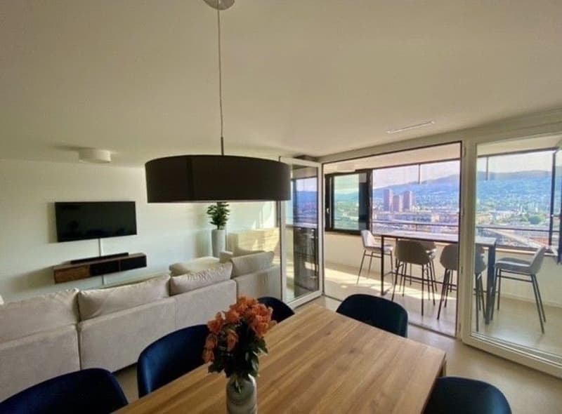 Bright & Spacious Room in Zurich (3)