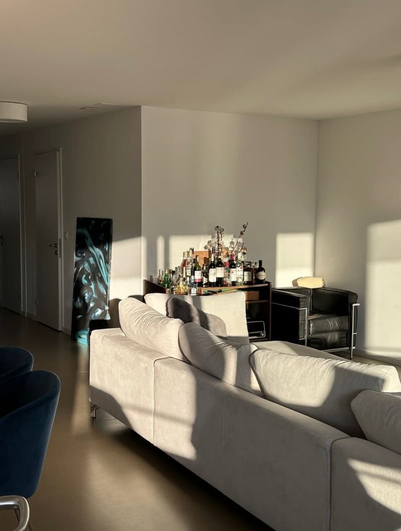 Bright & Spacious Room in Zurich (7)