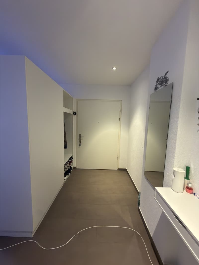 Charmant 2 1/2 au cœur de Pfäffikon ZH (10)