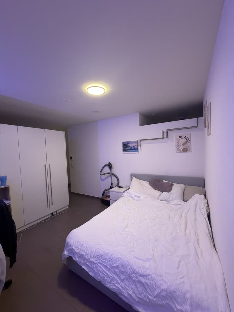 Charmant 2 1/2 au cœur de Pfäffikon ZH (8)