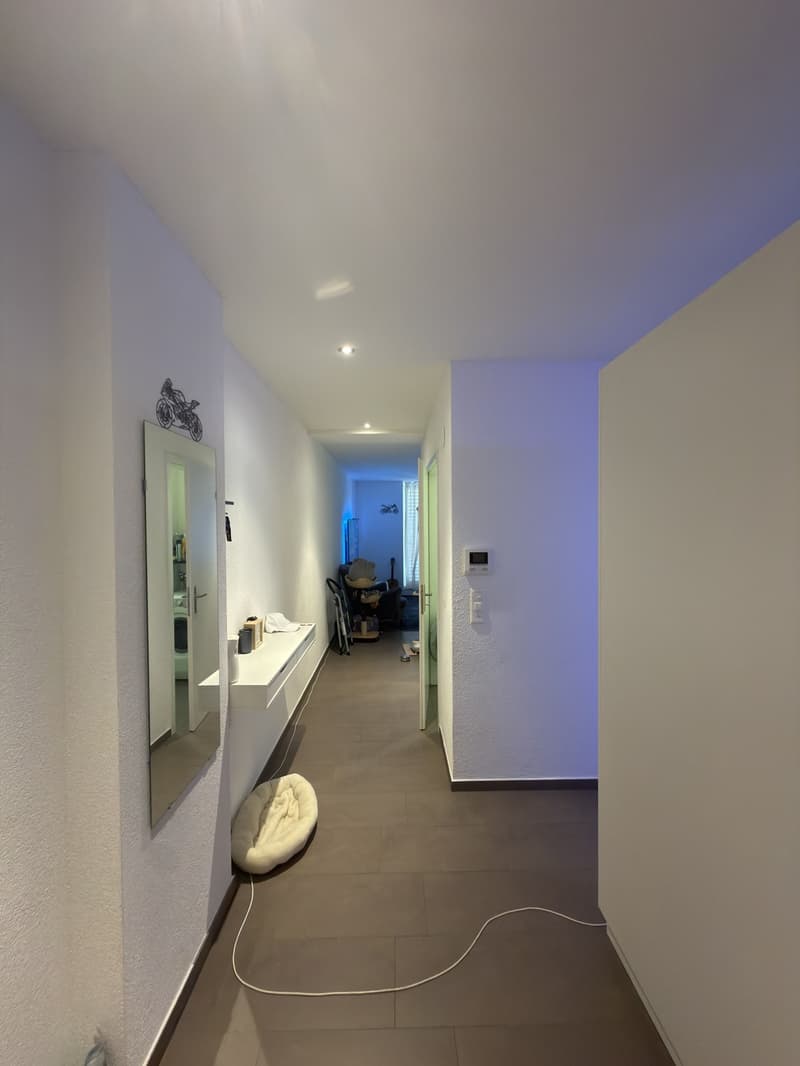 Charmant 2 1/2 au cœur de Pfäffikon ZH (5)