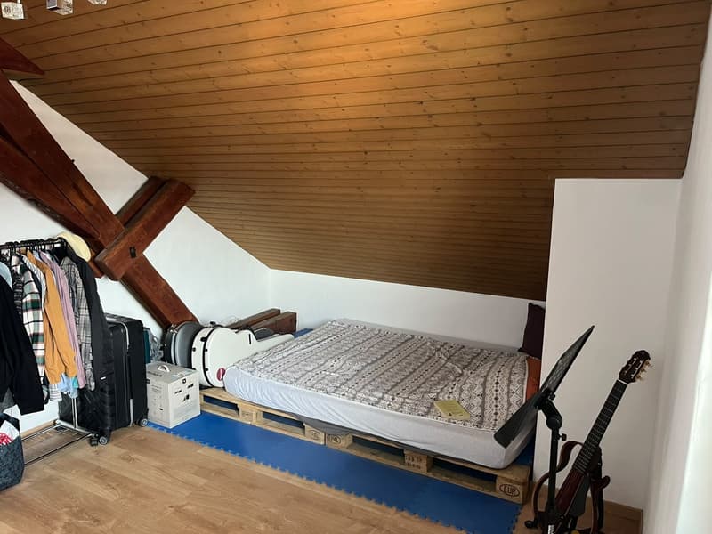 Spacious 19m2 room available in a cozy attic flat with a huge terrace (4)