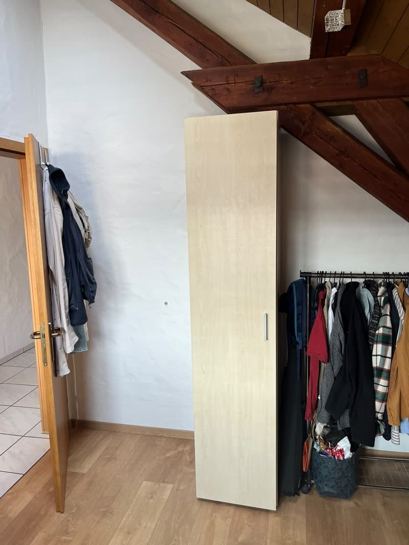 Spacious 19m2 room available in a cozy attic flat with a huge terrace (3)