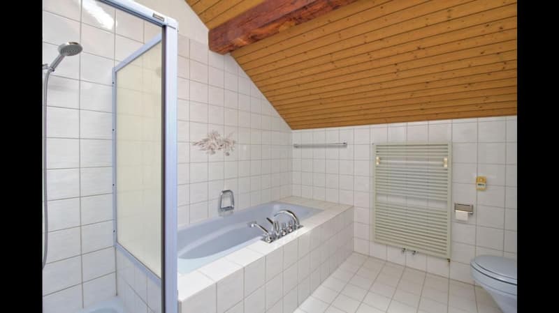 Spacious 19m2 room available in a cozy attic flat with a huge terrace (8)