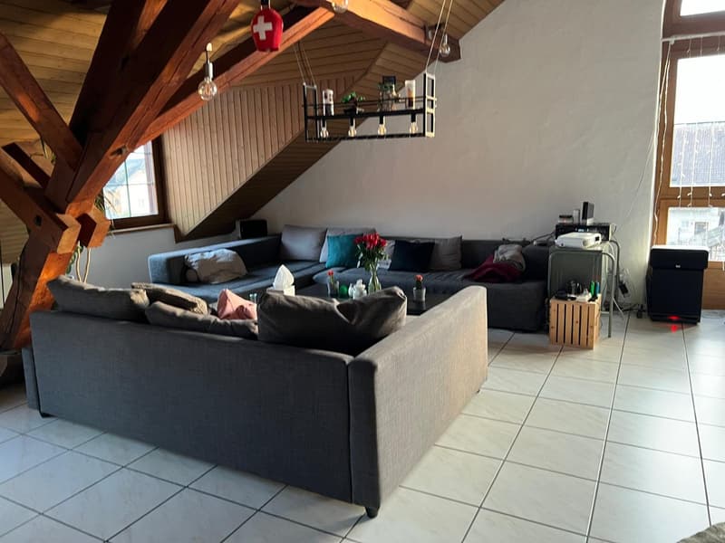 Spacious 19m2 room available in a cozy attic flat with a huge terrace (7)