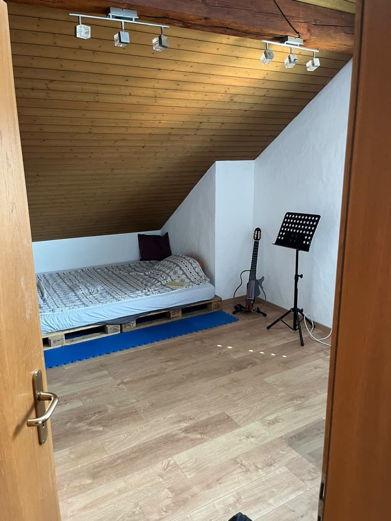 Spacious 19m2 room available in a cozy attic flat with a huge terrace (1)