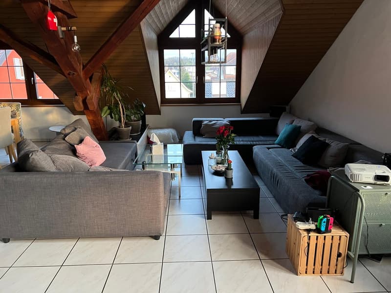 Spacious 19m2 room available in a cozy attic flat with a huge terrace (6)