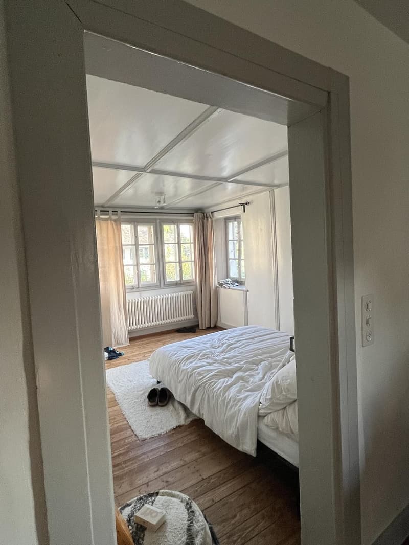 Cercasi coinquilino: Deliziosa maisonette 4½ locali a Zollikon (disponibile immediatamente) (6)