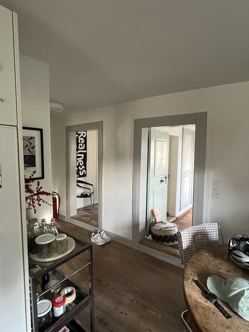 Cercasi coinquilino: Deliziosa maisonette 4½ locali a Zollikon (disponibile immediatamente) (8)