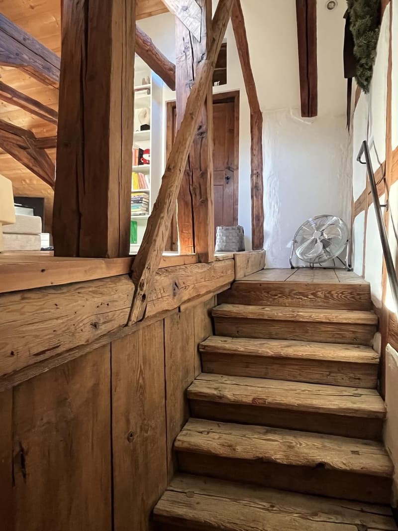 Cercasi coinquilino: Deliziosa maisonette 4½ locali a Zollikon (disponibile immediatamente) (3)