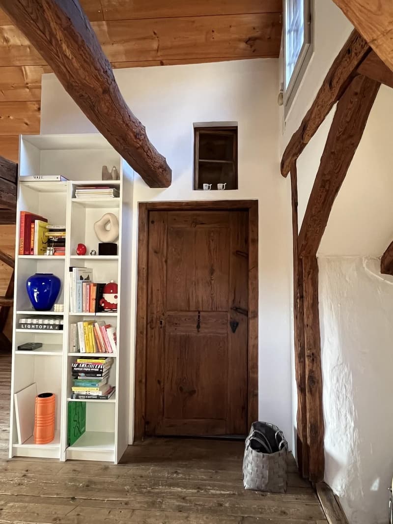 Cercasi coinquilino: Deliziosa maisonette 4½ locali a Zollikon (disponibile immediatamente) (2)