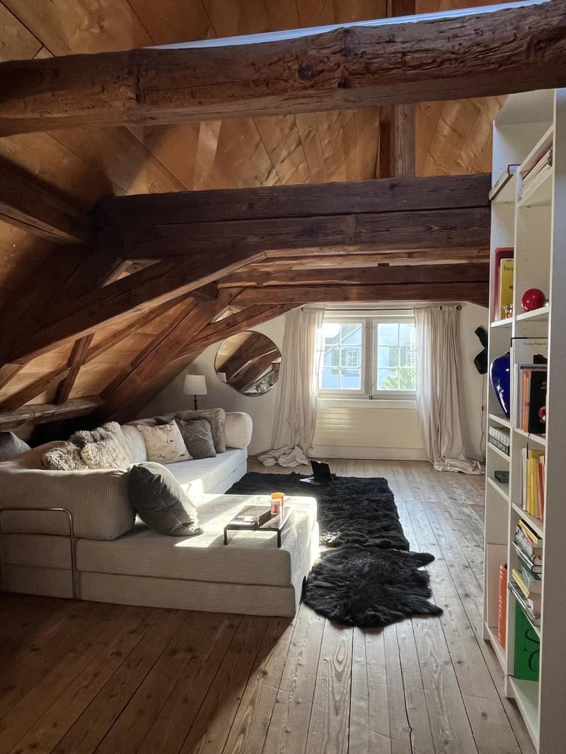 Cercasi coinquilino: Deliziosa maisonette 4½ locali a Zollikon (disponibile immediatamente) (1)