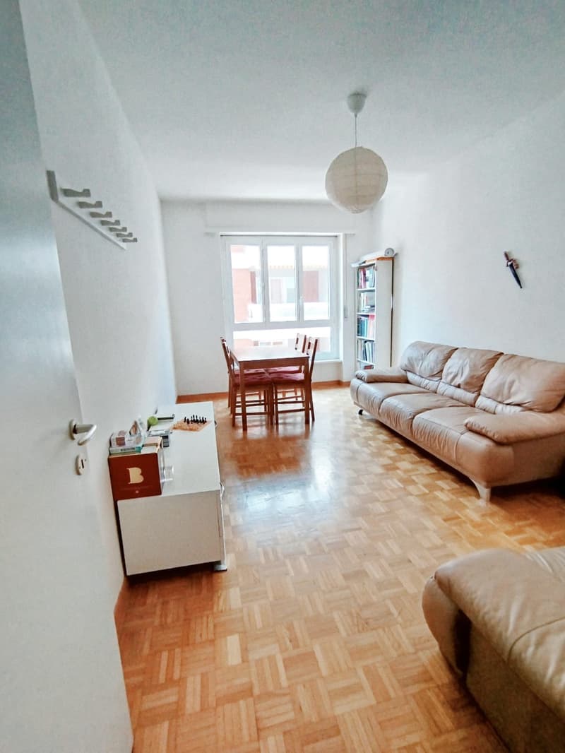 Subentro 2.5 locali a Lugano (Molino Nuovo) (12)