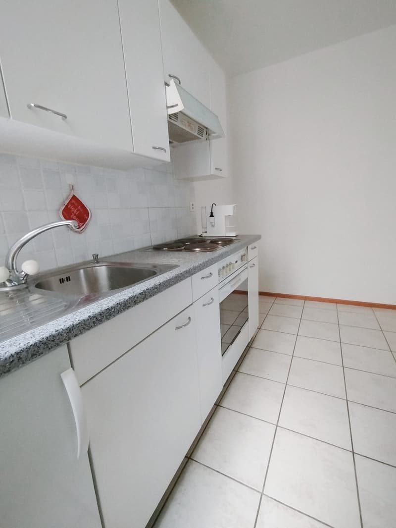 Subentro 2.5 locali a Lugano (Molino Nuovo) (8)