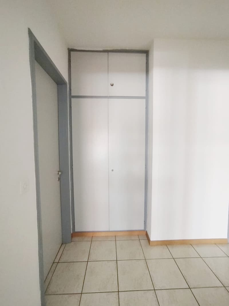 Subentro 2.5 locali a Lugano (Molino Nuovo) (6)