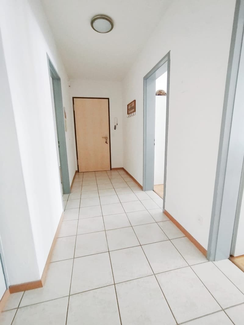 Subentro 2.5 locali a Lugano (Molino Nuovo) (4)