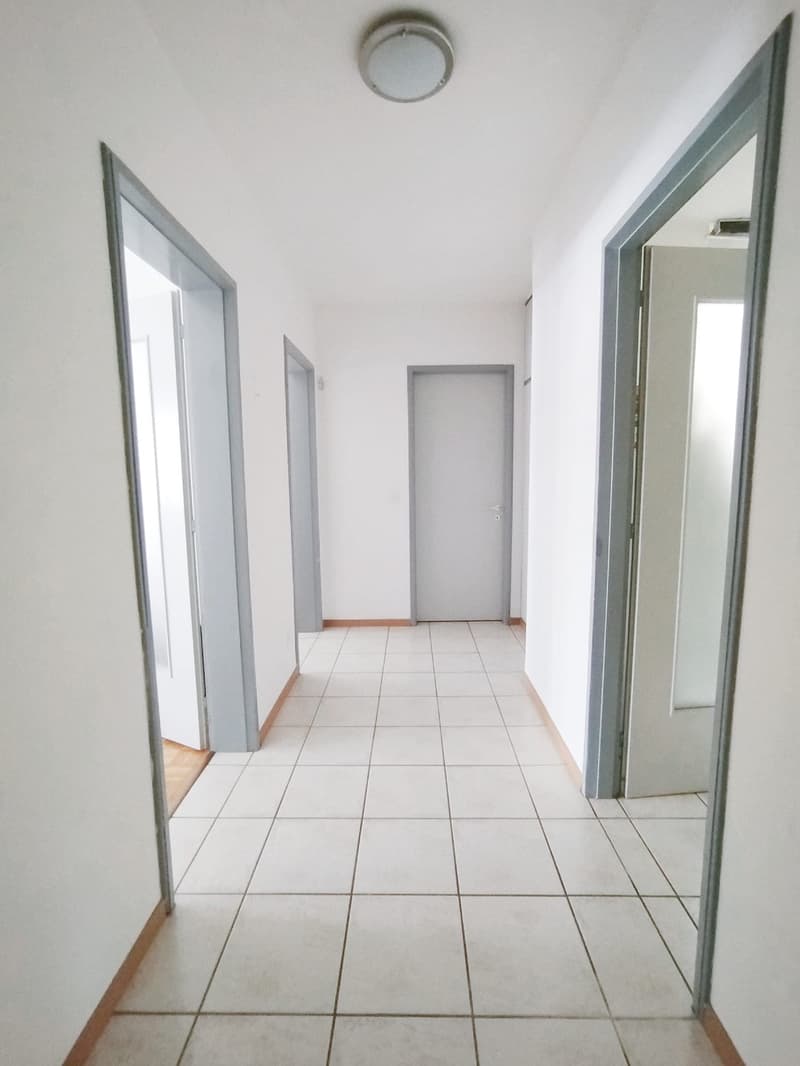 Subentro 2.5 locali a Lugano (Molino Nuovo) (5)