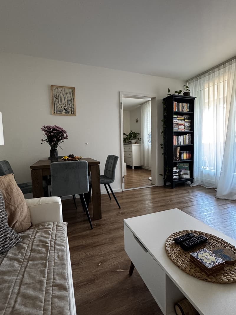 Appartamento 3 locali Zurigo Oerlikon (1)