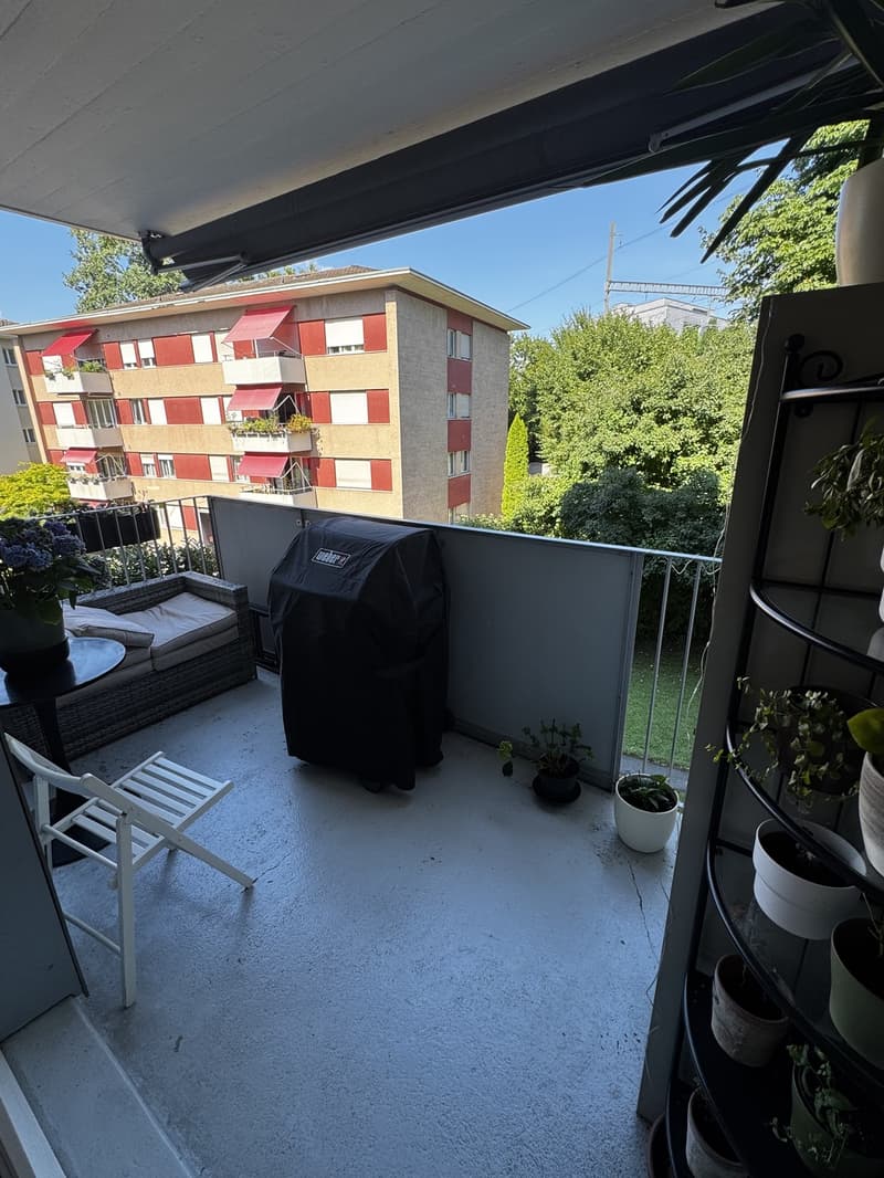 Appartamento 3 locali Zurigo Oerlikon (4)
