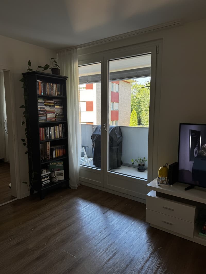 Appartamento 3 locali Zurigo Oerlikon (3)